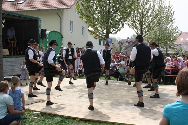 Maibaum 2013